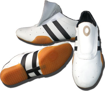 Capoeira Trainers